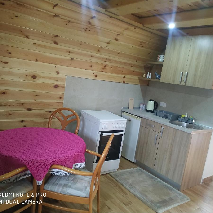 Апартаменты Apartman Jegdic-Zabljak Экстерьер фото